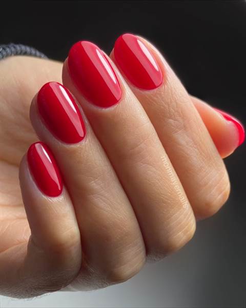 SMALTO SEMIPERMANENTE SHELLAC Wildfire